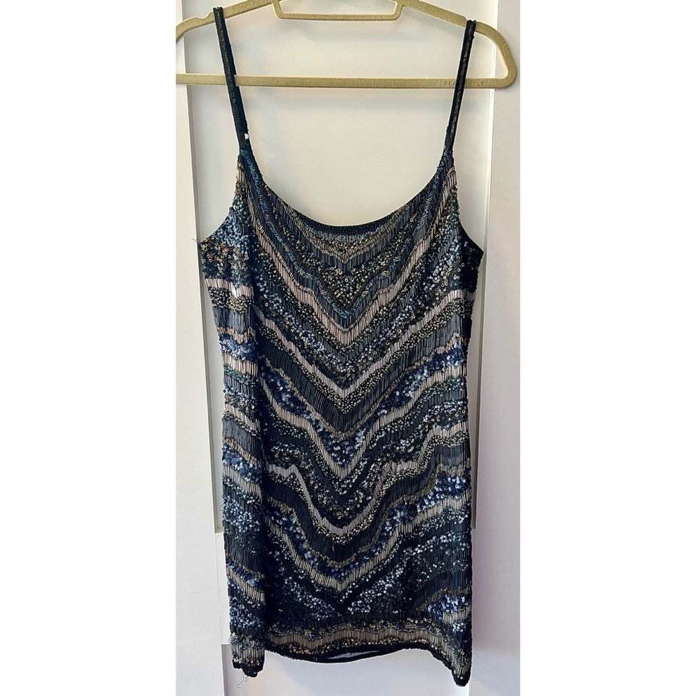 AllSaints Hand Embroidered Dress,